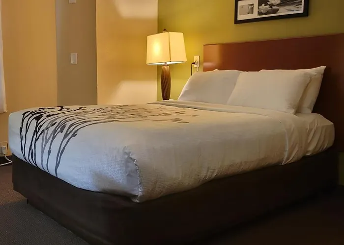 Sleep Inn Near Ft. Jackson